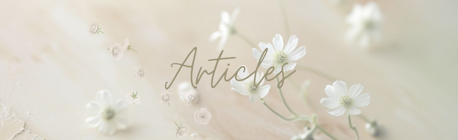 creamwhiteheader